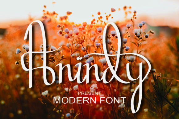 Anindy Font for Eye-Catching Brand Content