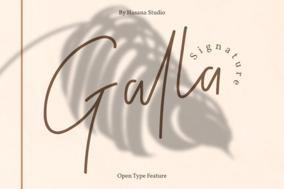 Galla Signature: A Delicate Script Font for Polished Branding