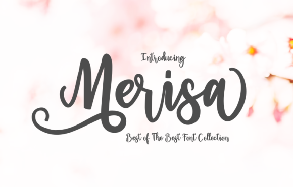 Merisa: A Modern Script Font for Digital Creativity